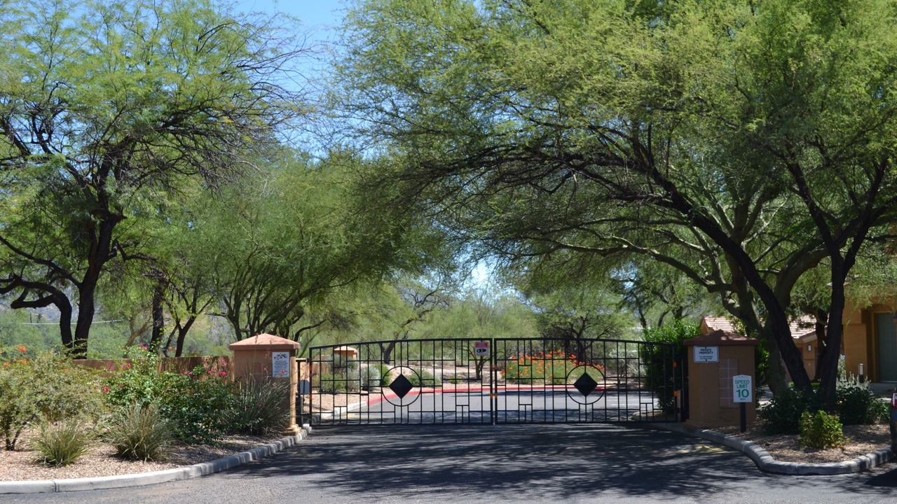 Photo of Others in Tucson