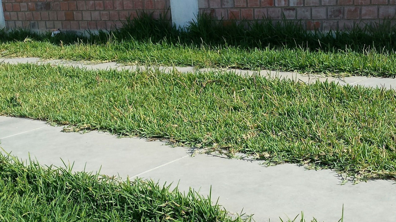 Photo of Outdoor in Colan