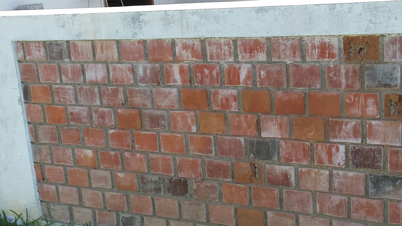 Photo of Outdoor in Colan