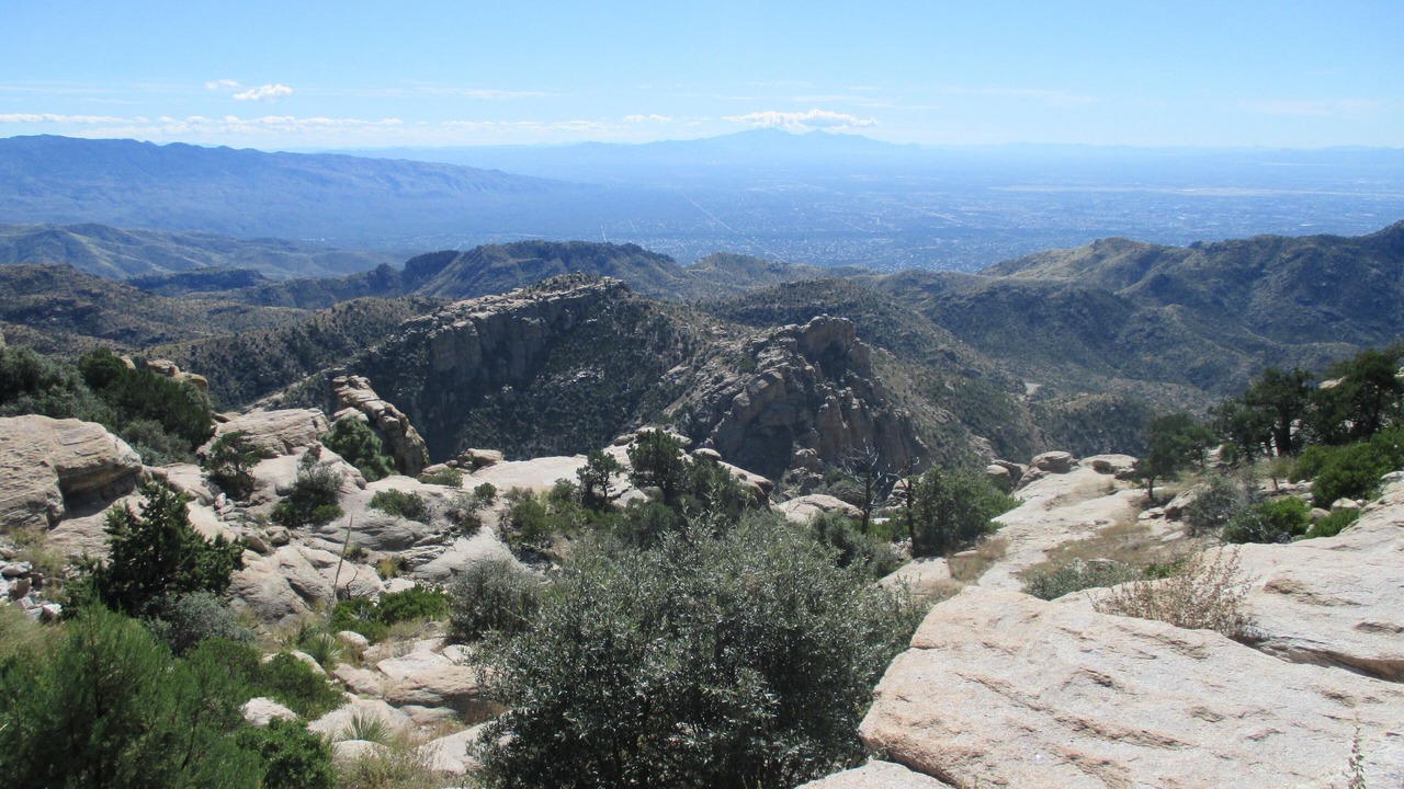 Photo of Others in Tucson