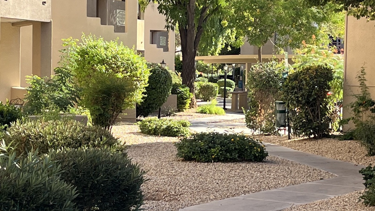 Photo of Outdoor in Paradise Valley Village