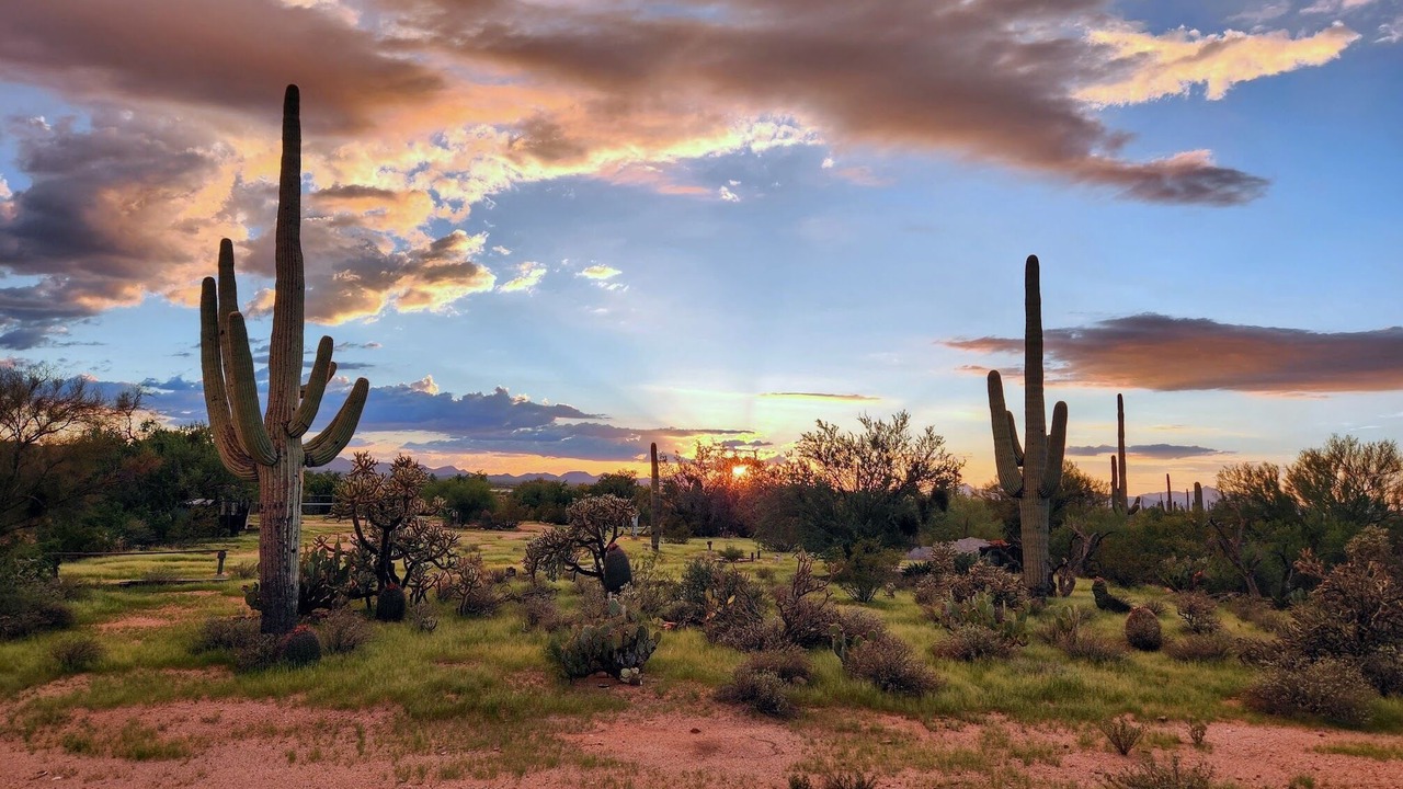 Photo of Others in Tucson