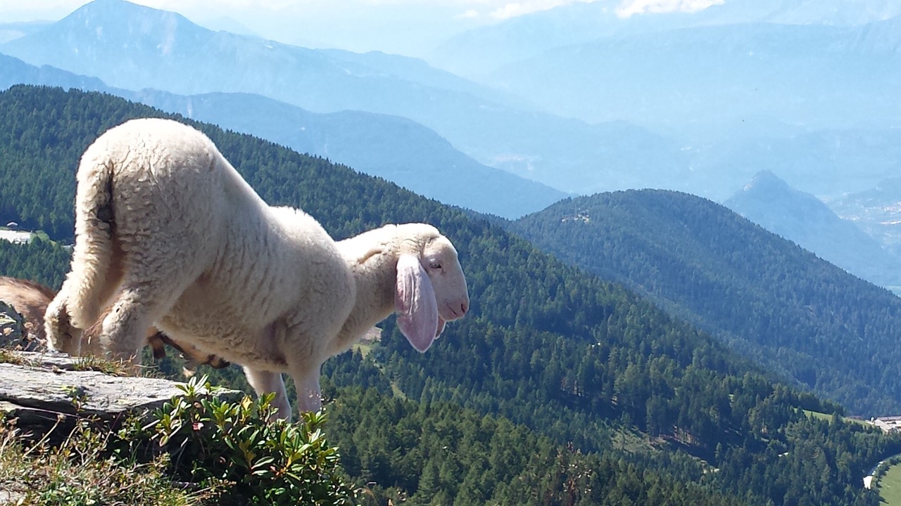 Photo of Outdoor in Levico Terme