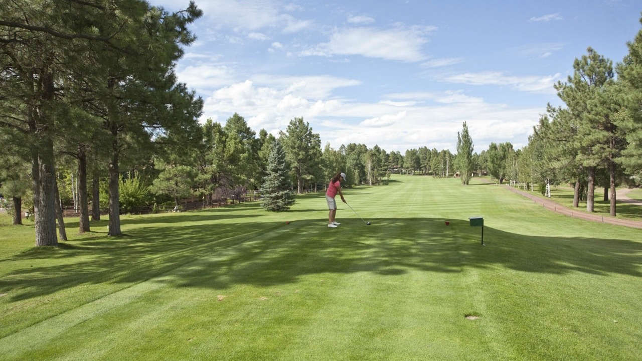 Photo of Others in Pinetop