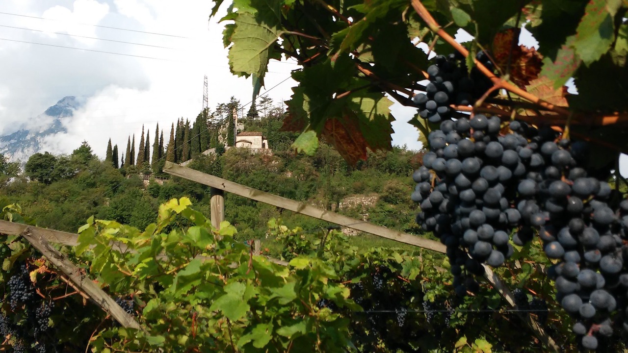 Photo of Outdoor in Lasino