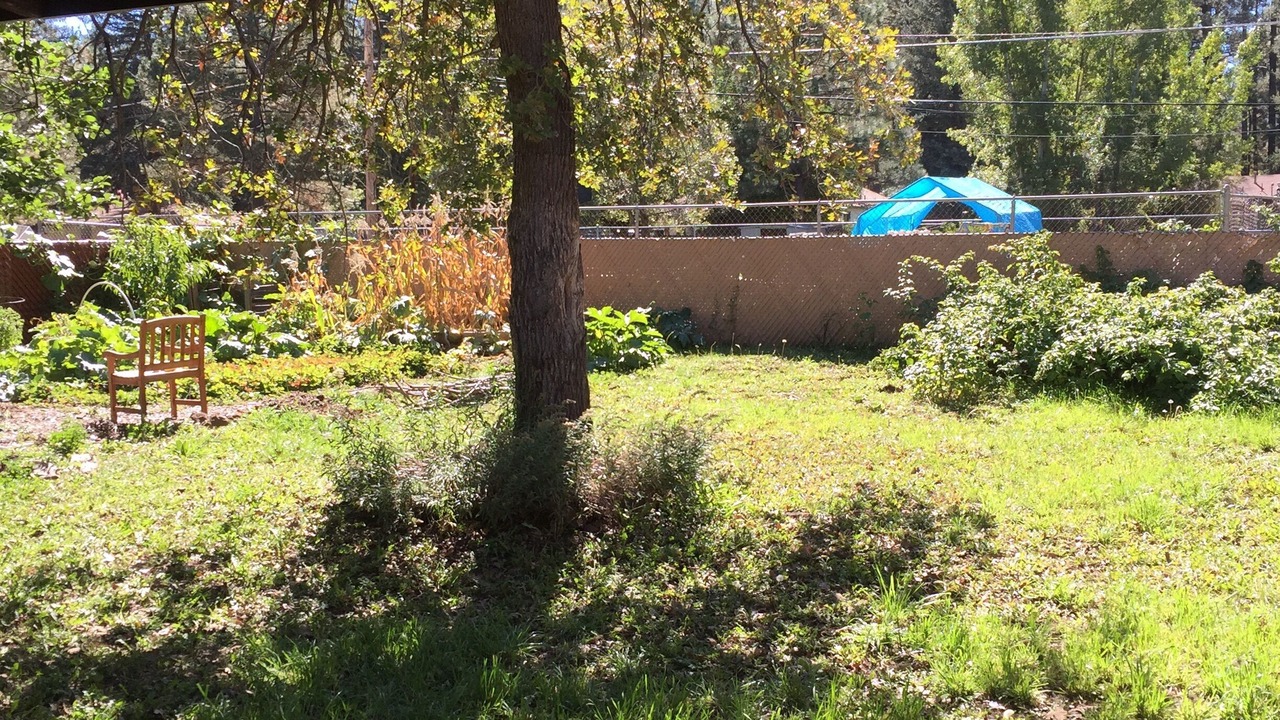 Photo of Outdoor in Pinetop