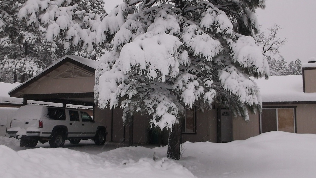 Photo of Outdoor in Pinetop