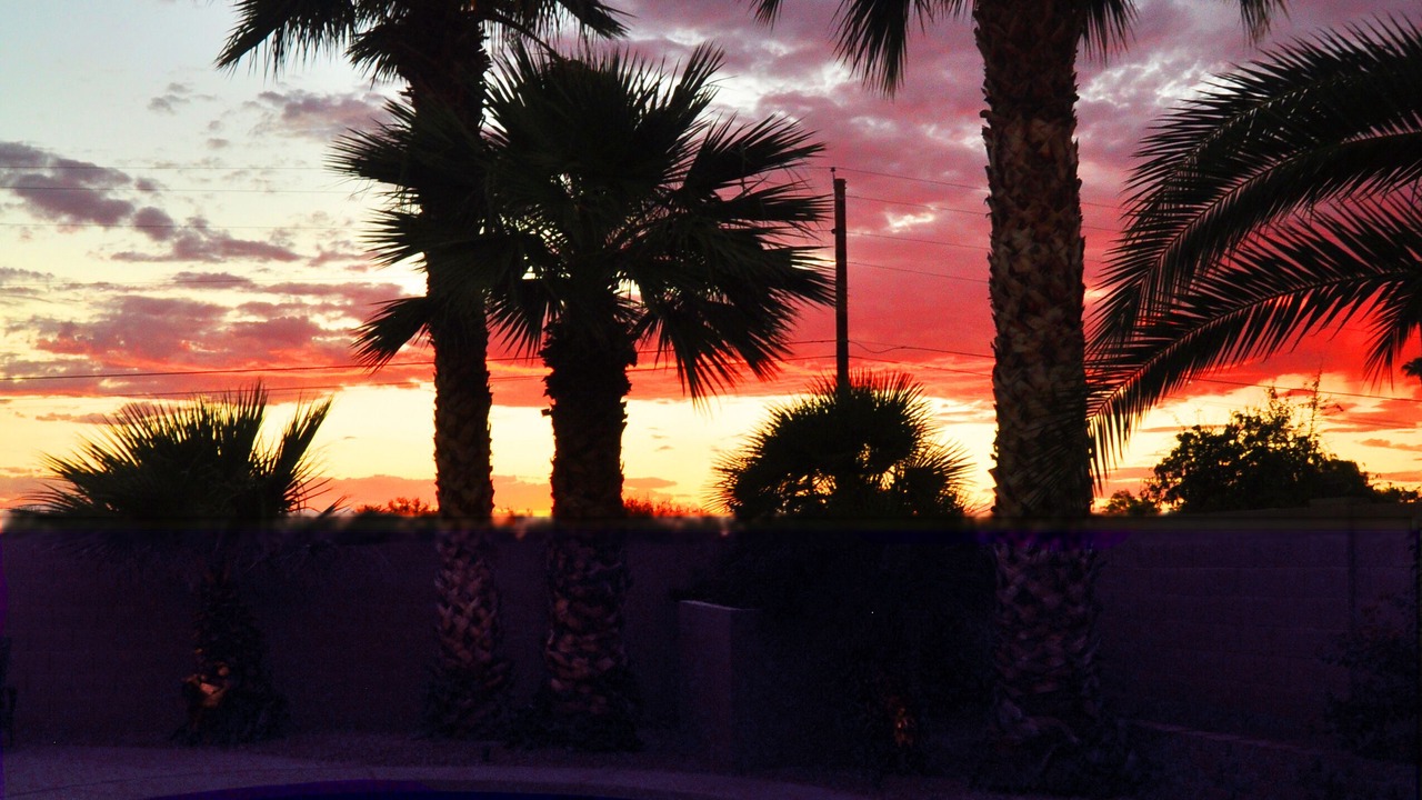 Photo of Outdoor in Arabian Views