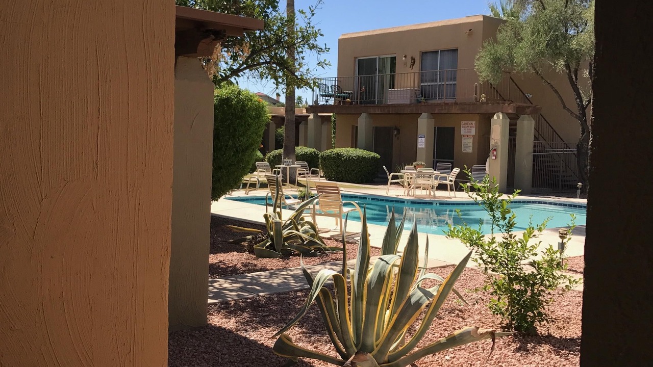 Photo of Others in Fountain Hills