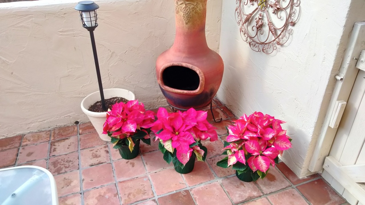Photo of Outdoor in South Scottsdale