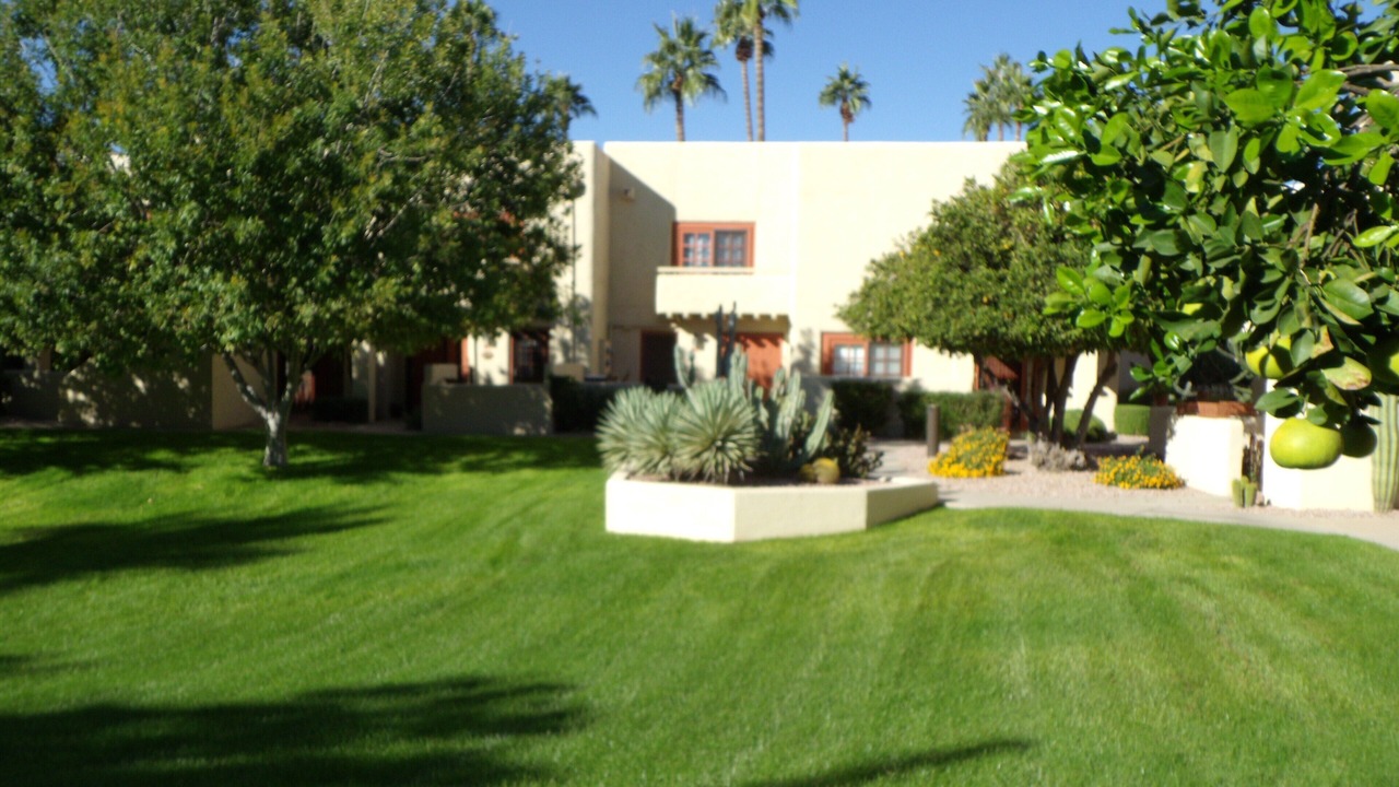 Photo of Outdoor in South Scottsdale
