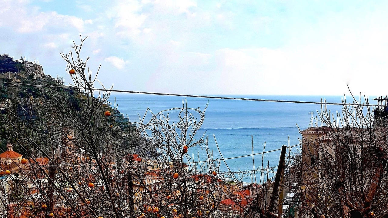 Photo of Others in Minori
