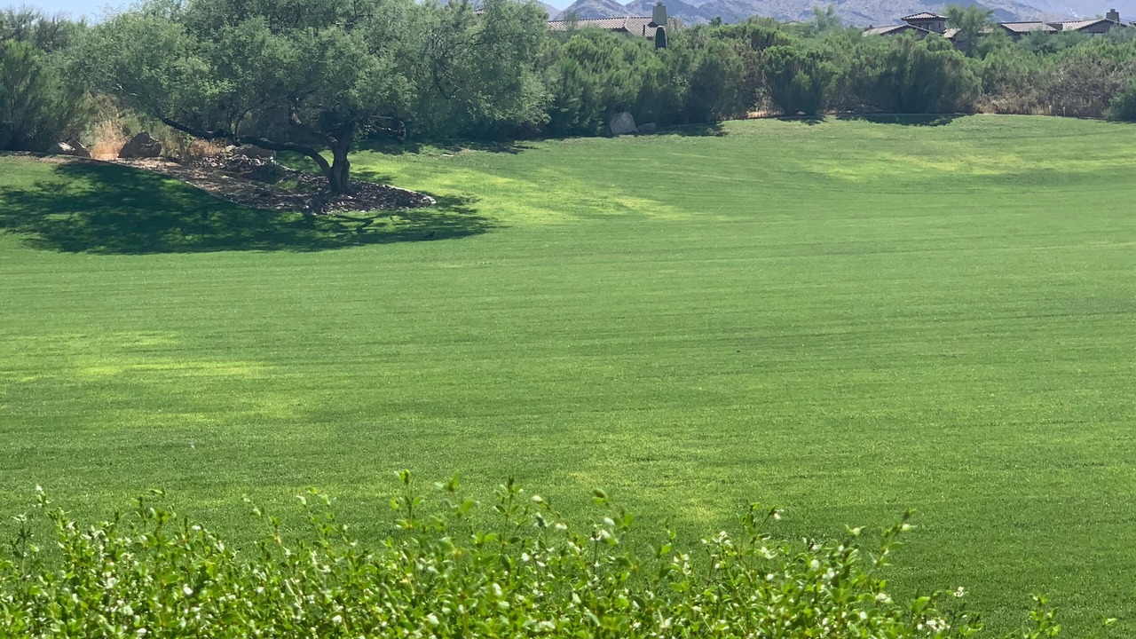 Photo of Others in North Scottsdale