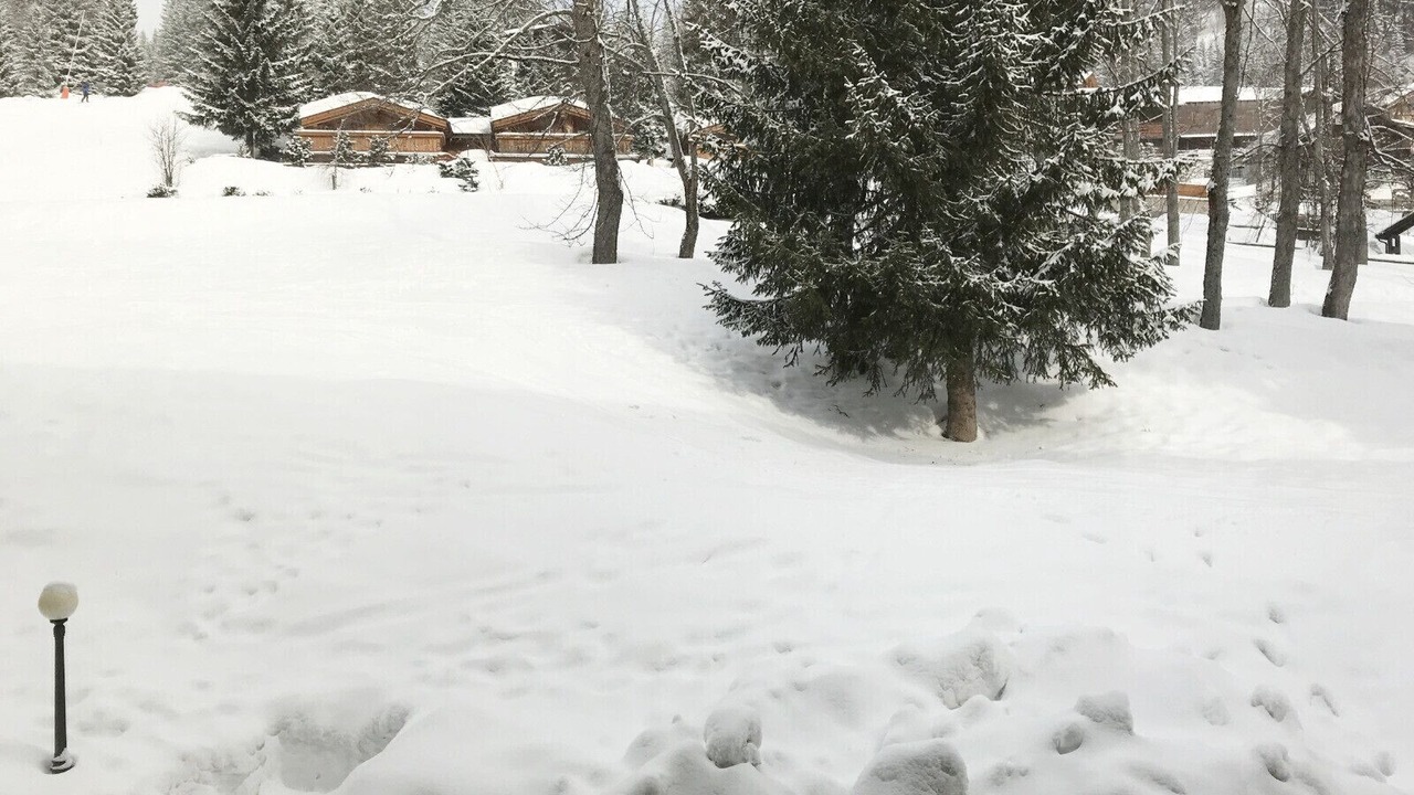 Photo of Others in Madonna di Campiglio