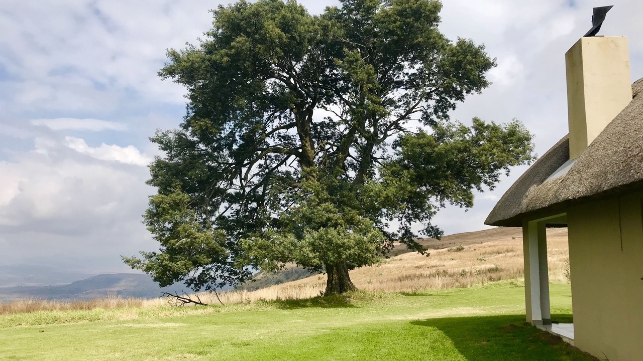 Photo of Outdoor in Jagersrust
