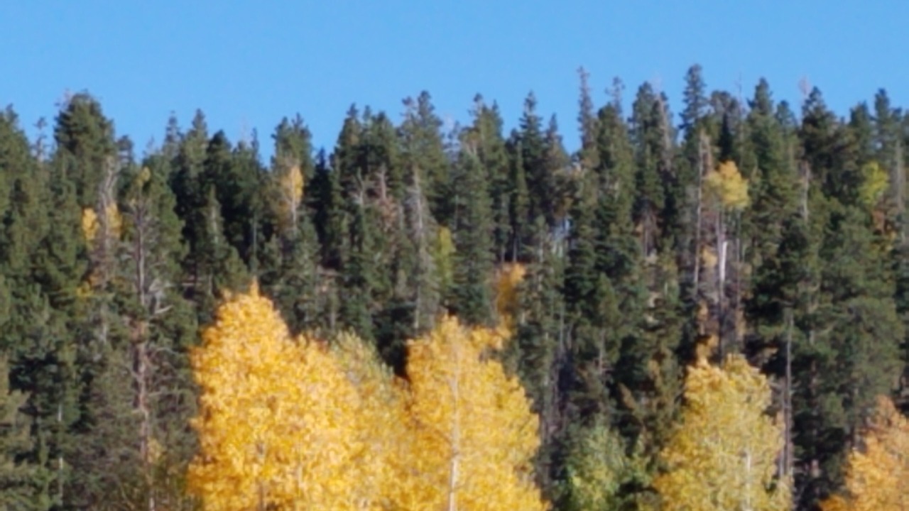 Photo of Others in Long Valley Junction