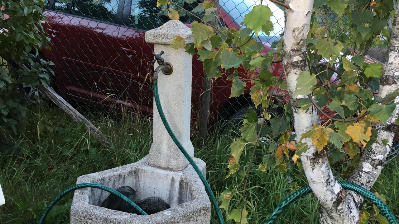 Photo of Outdoor in Predaia