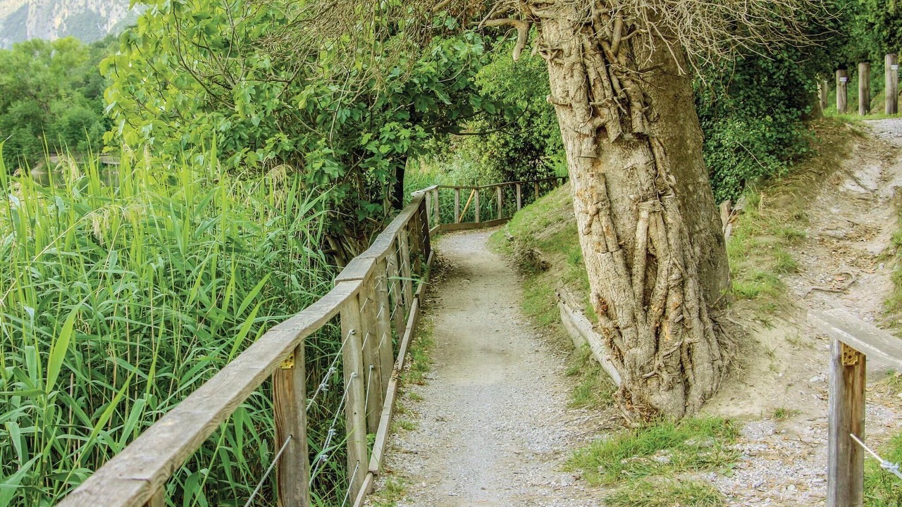 Photo of Others in Ranzo