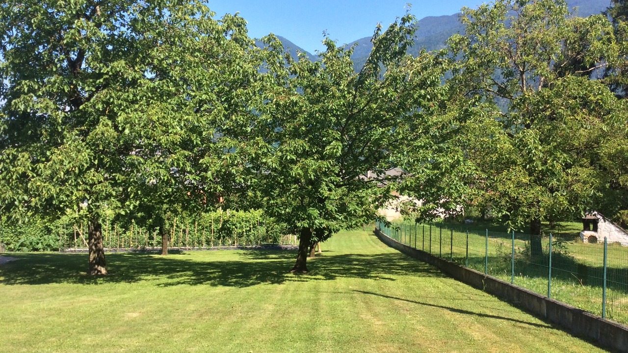 Photo of Outdoor in Barco