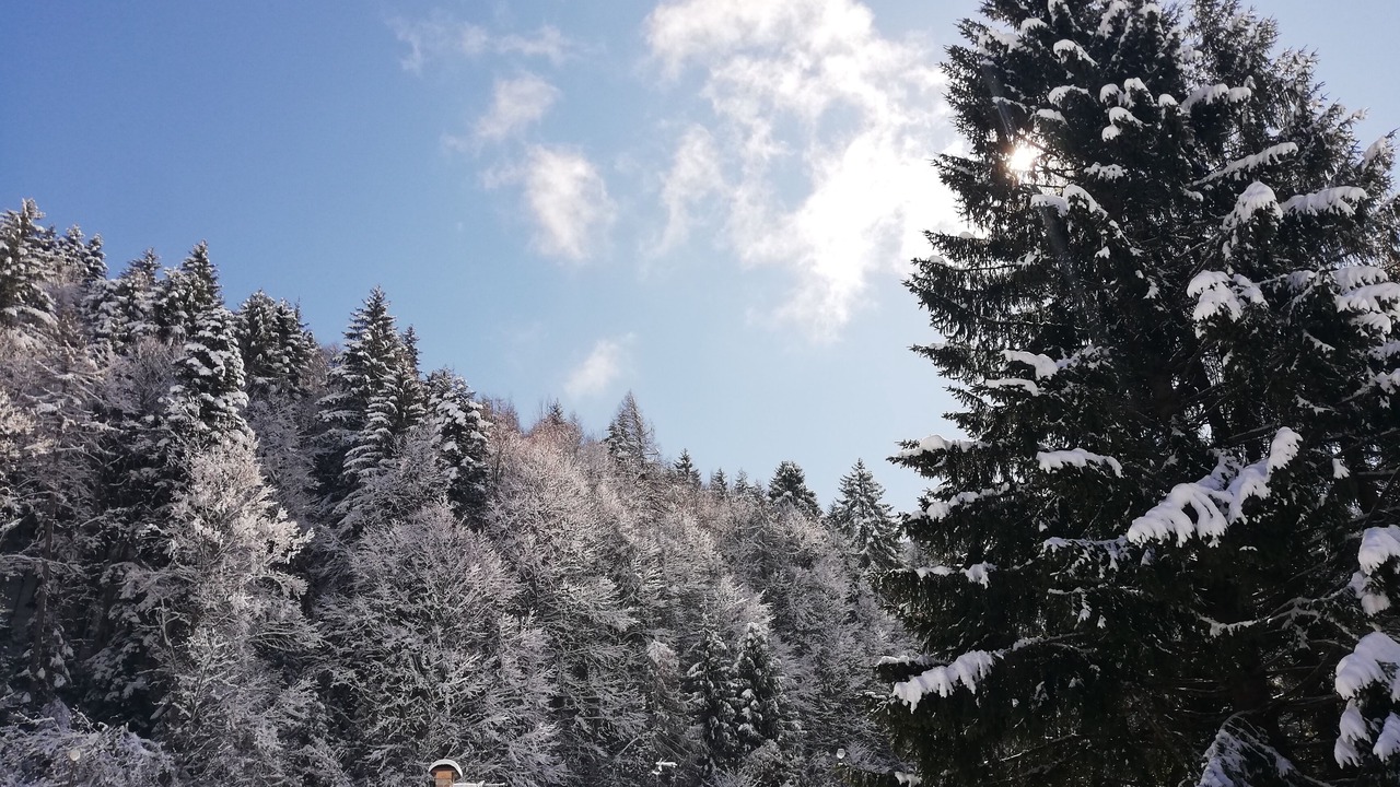 Photo of Outdoor in Andalo