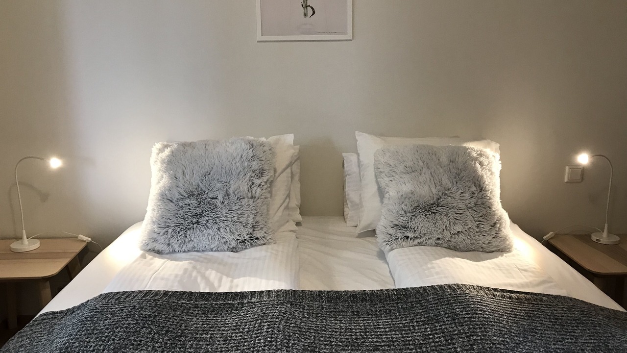 Photo of Others in Vesturbær