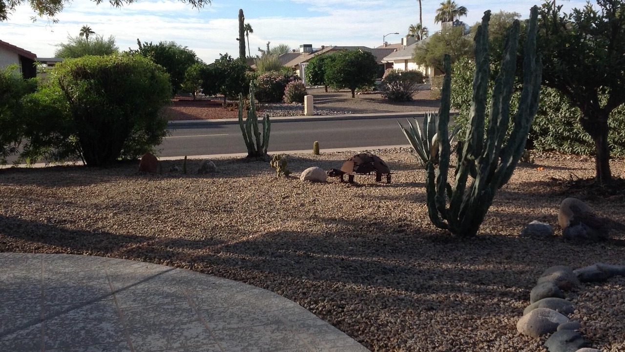 Photo of Outdoor in Sun City West