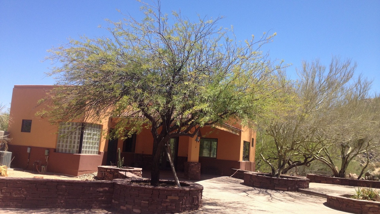 Photo of Others in North Scottsdale