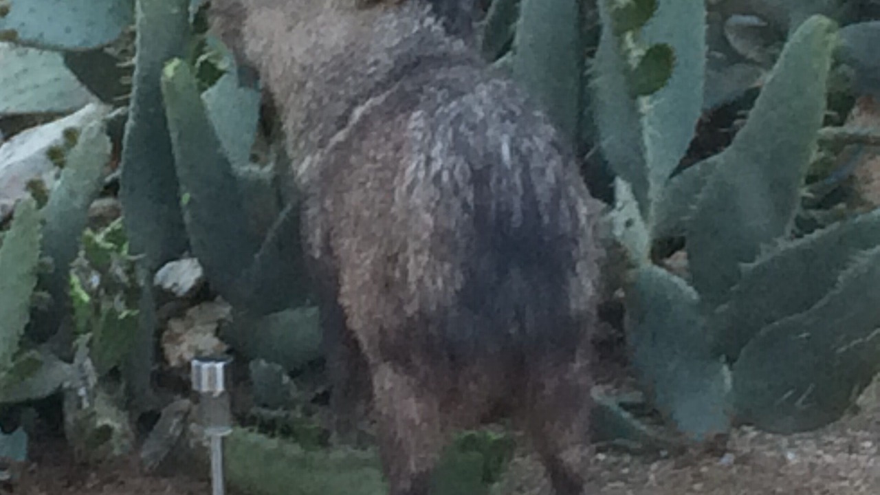 Photo of Outdoor in North Scottsdale