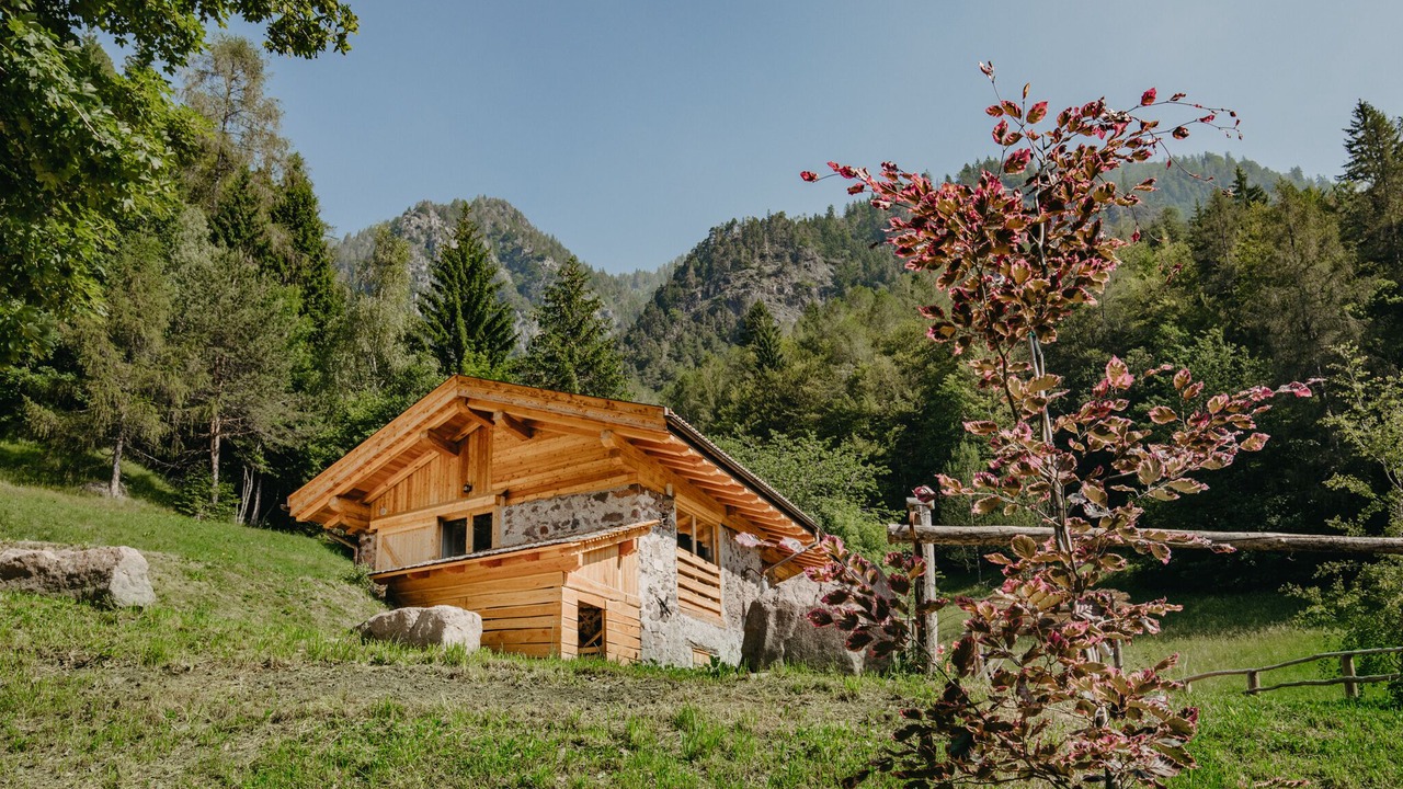 Photo of Outdoor in Sant'Orsola Terme