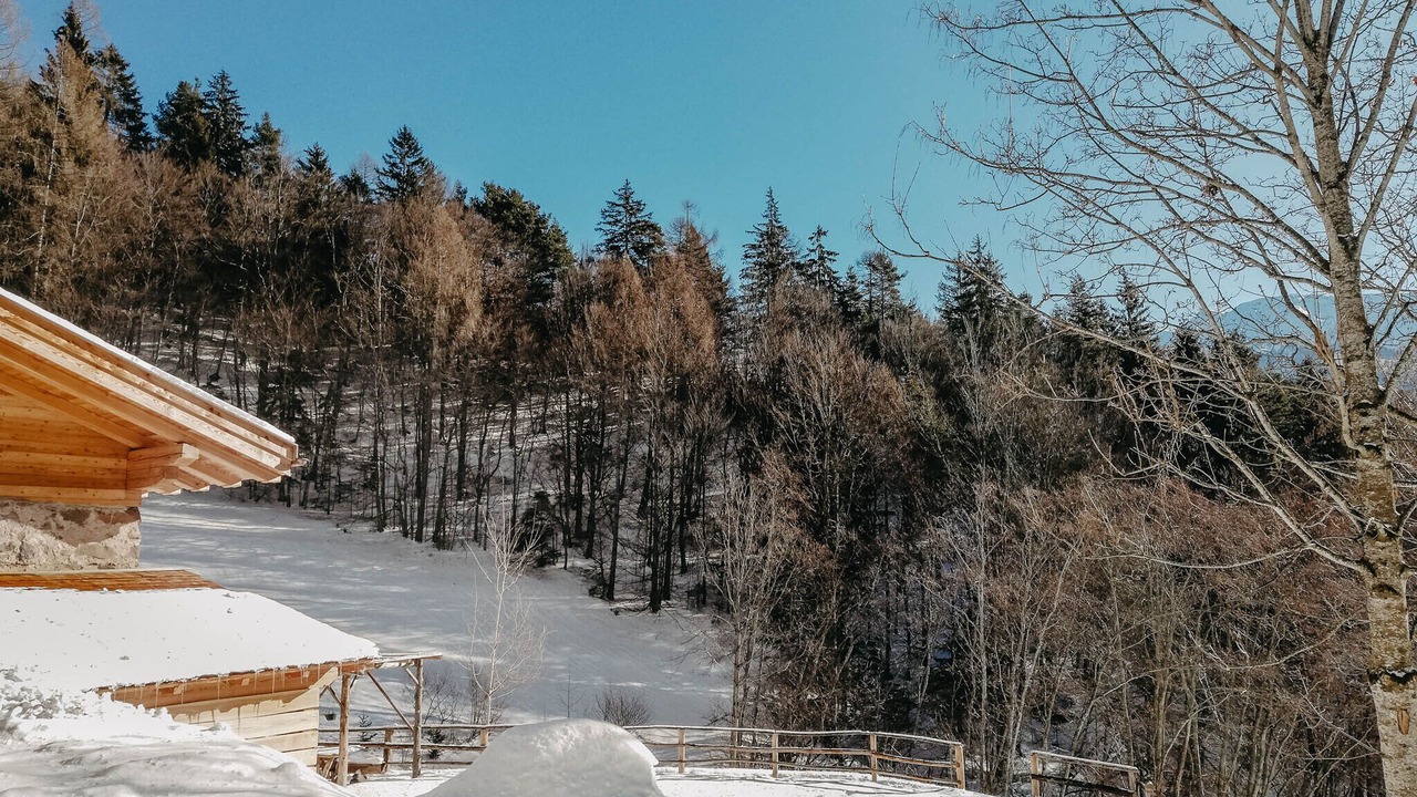 Photo of Outdoor in Sant'Orsola Terme