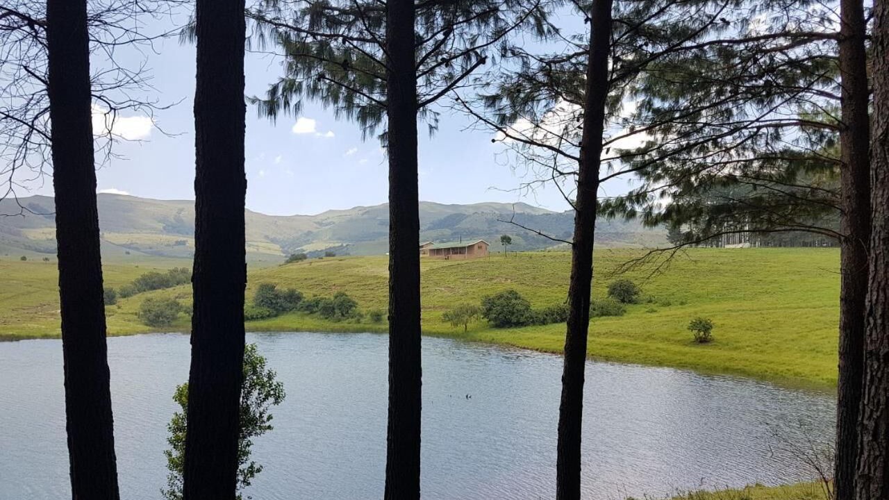 Photo of Outdoor in Emadlangeni