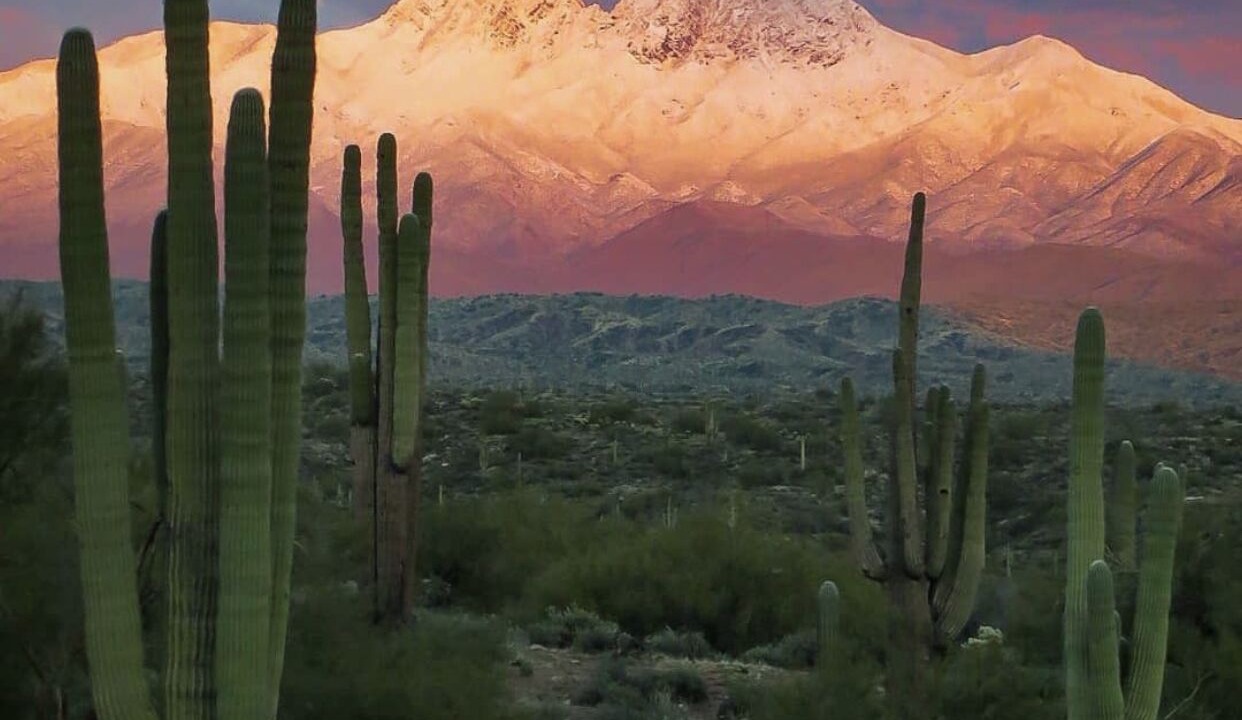 Photo of Others in Fountain Hills