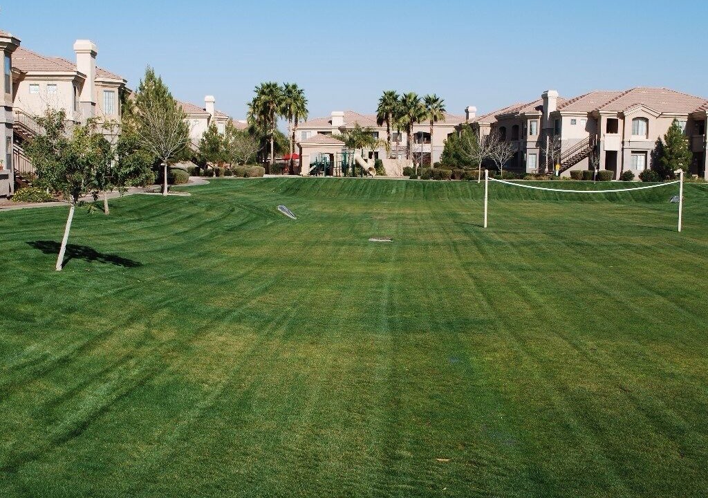 Photo of Others in Gilbert