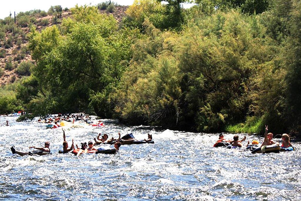 Photo of Others in Mesa