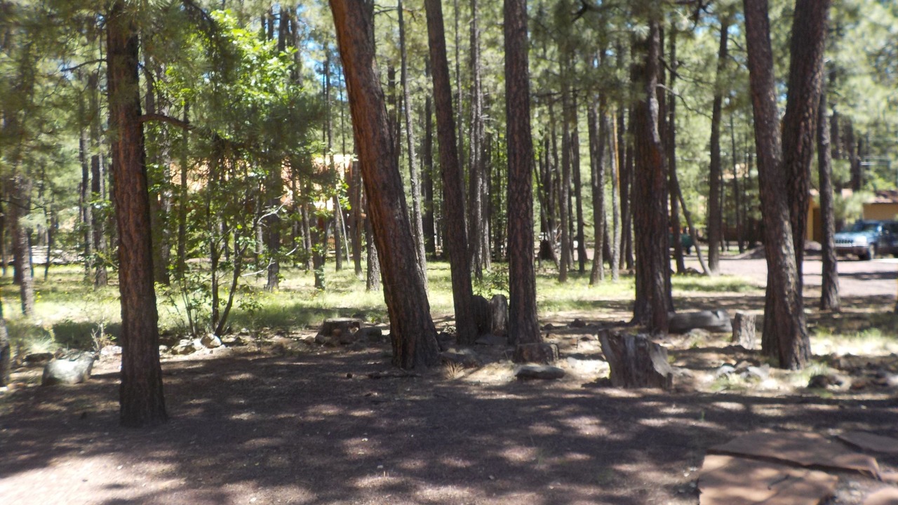 Photo of Others in Pinetop