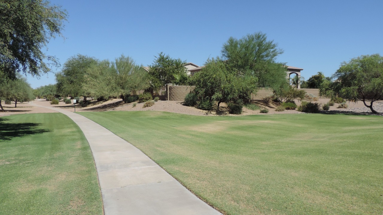 Photo of Outdoor in Maricopa