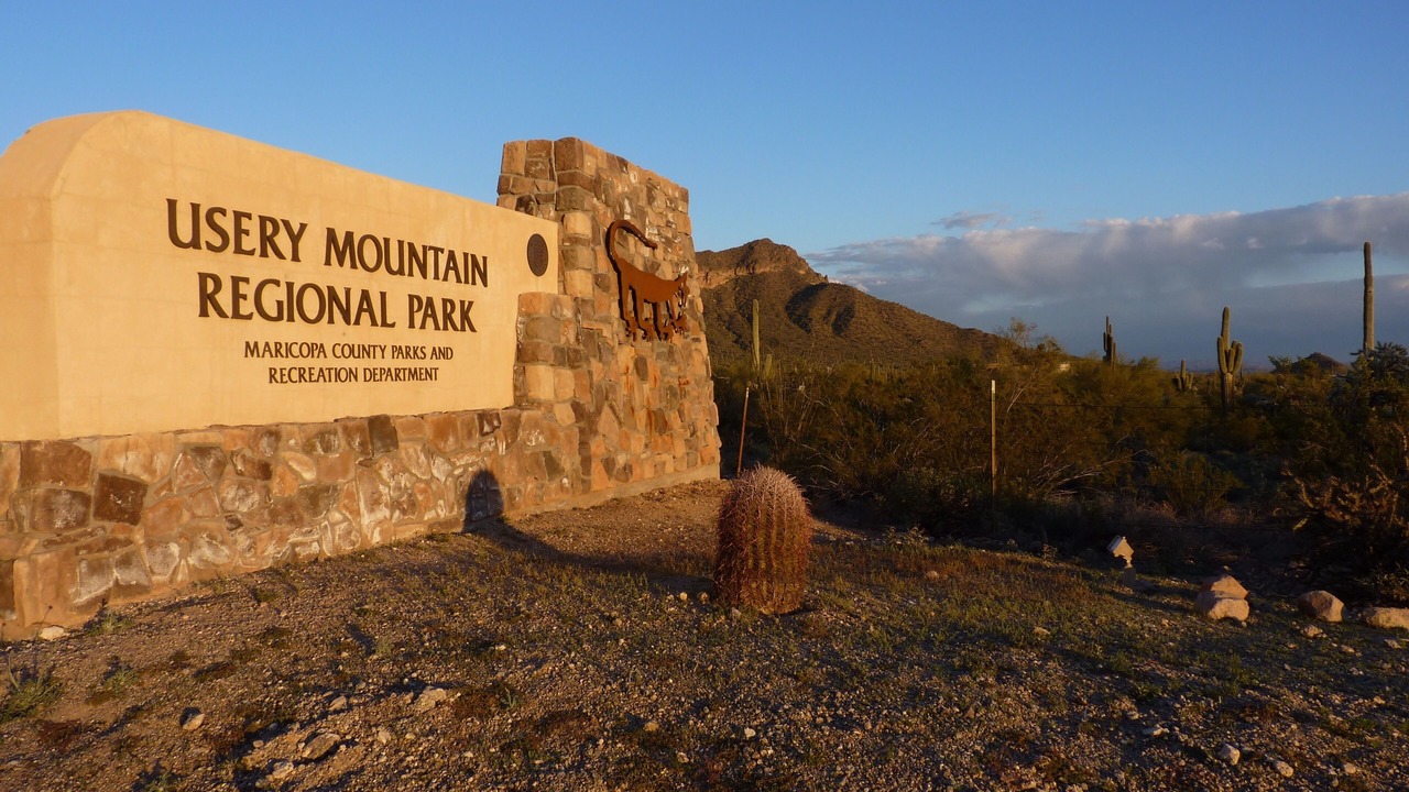 Photo of Outdoor in East Mesa