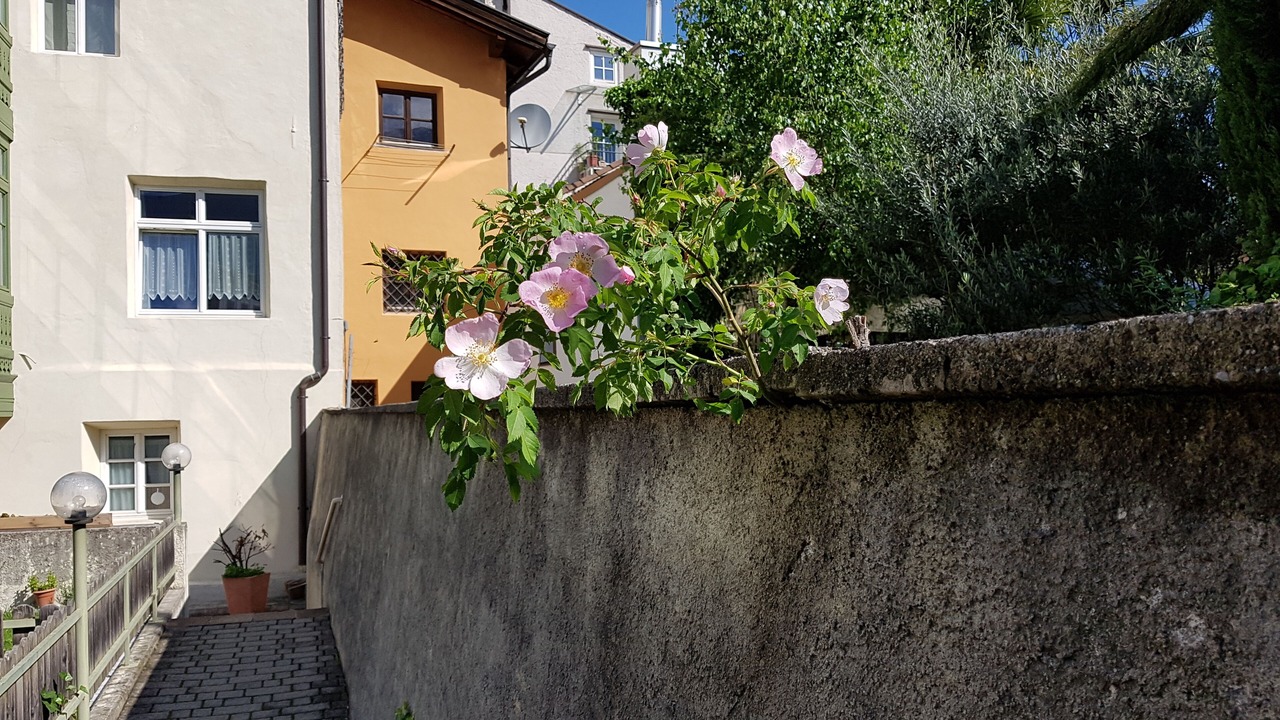 Photo of Outdoor in Bressanone