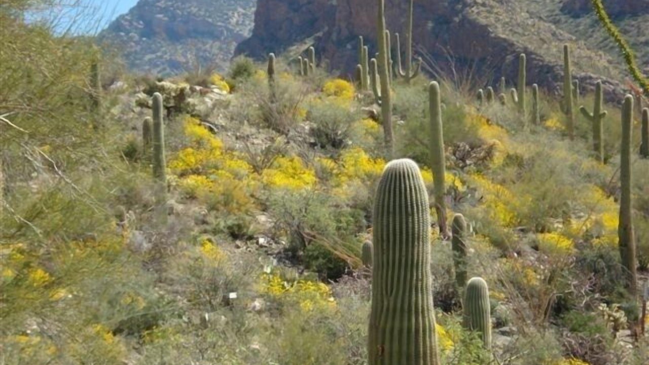 Photo of Outdoor in Horizon Hills