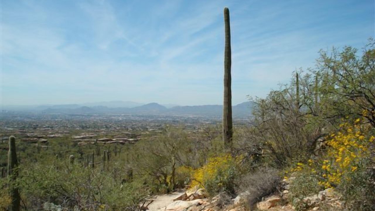 Photo of Outdoor in Horizon Hills