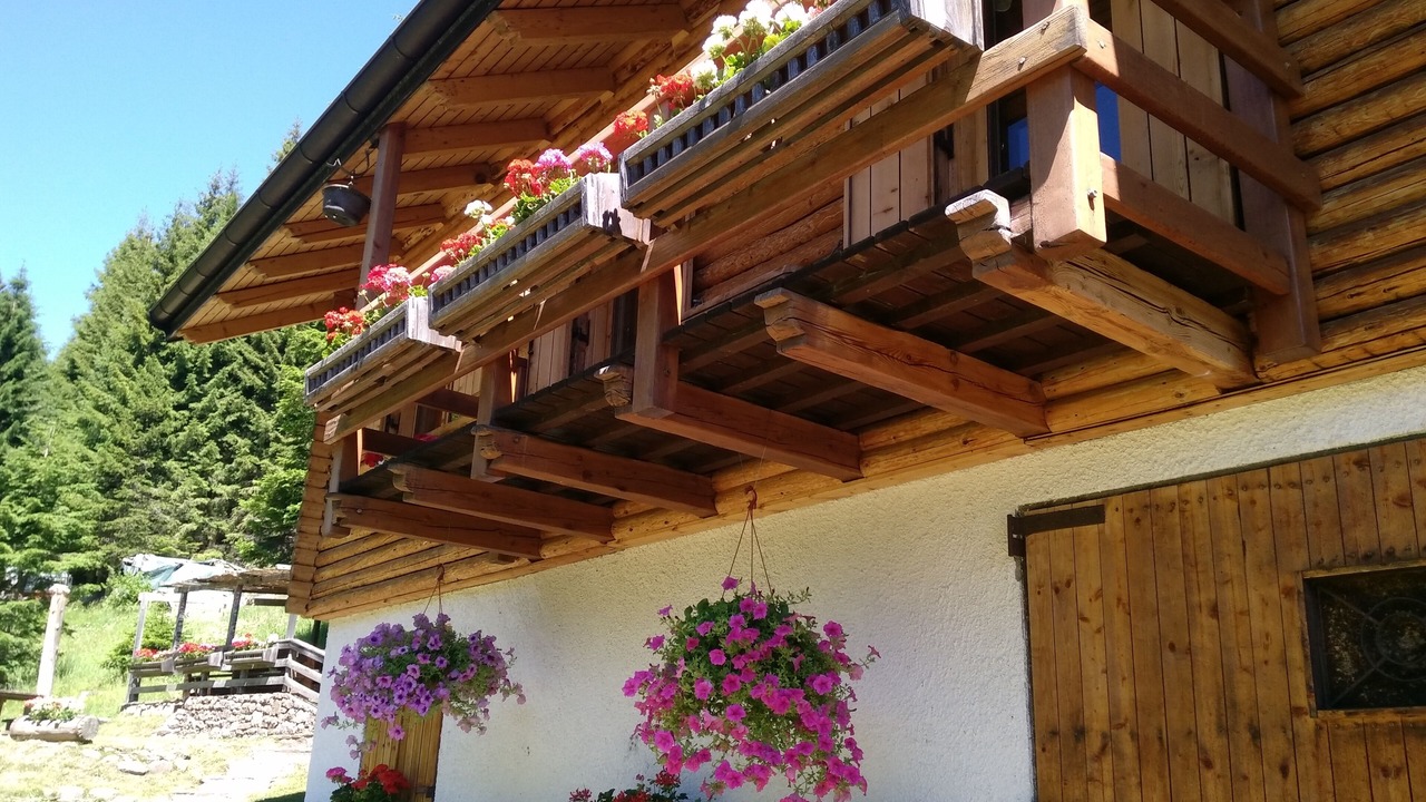 Photo of Outdoor in Altavalle