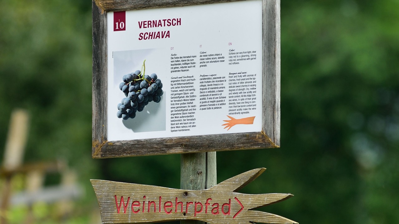 Photo of Outdoor in Kurtatsch an der Weinstraße