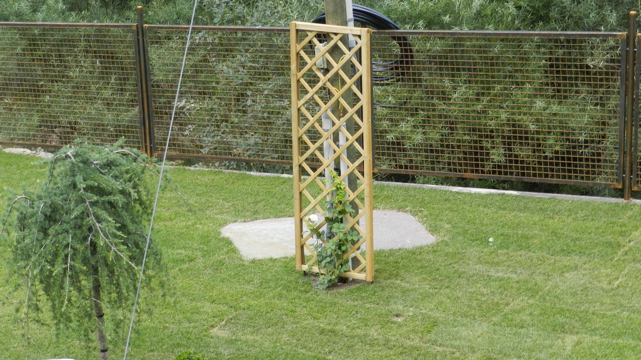 Photo of Outdoor in San Pancrazio