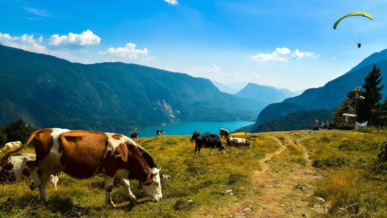 Photo of Others in Molveno