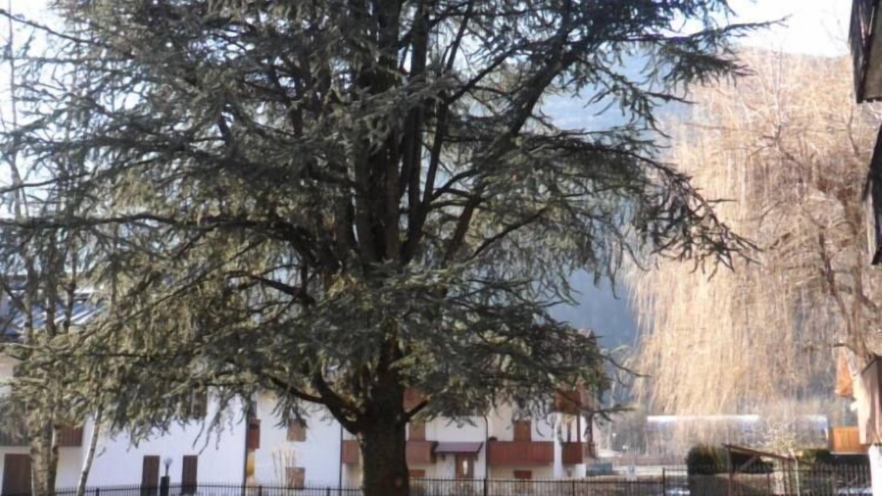 Photo of Outdoor in Giustino
