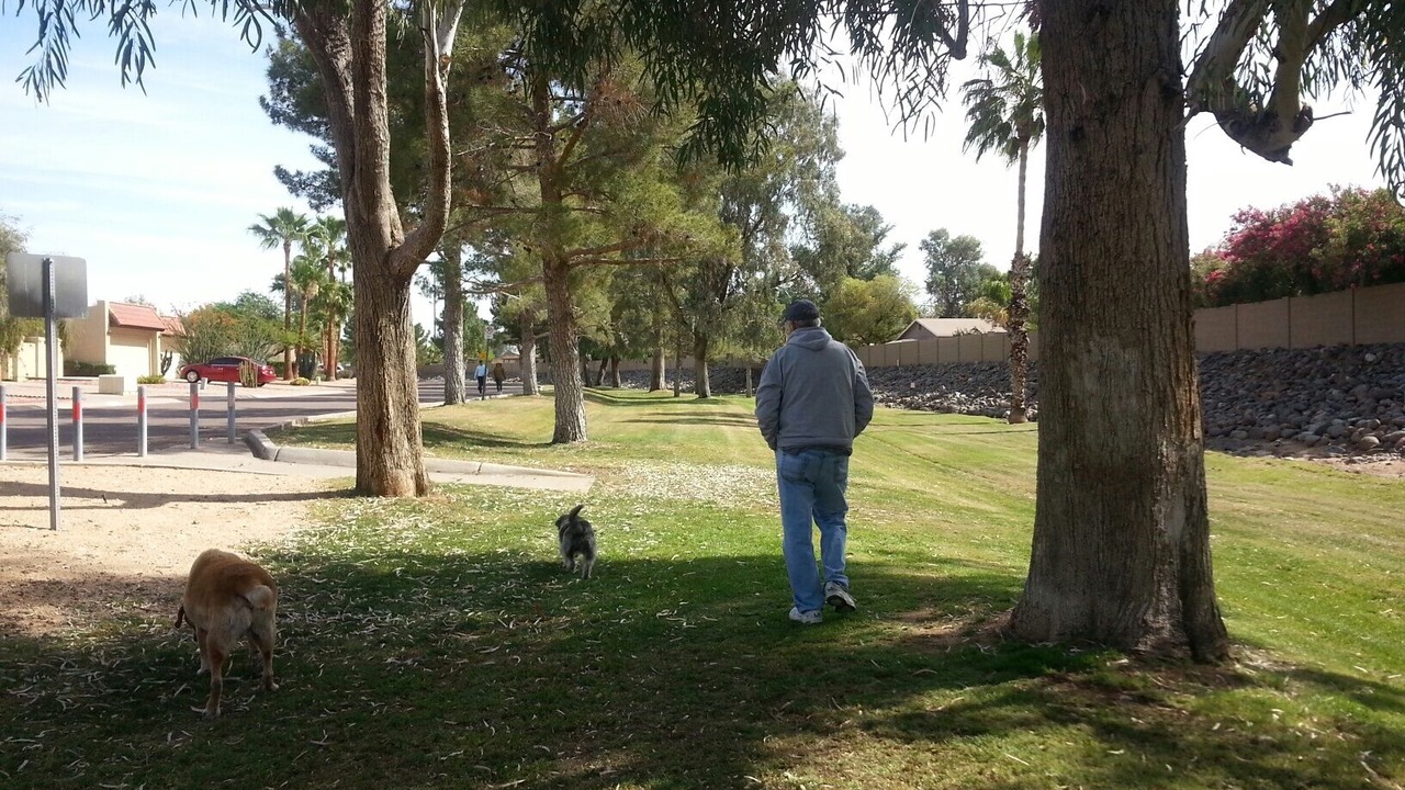 Photo of Others in Pepper Ridge