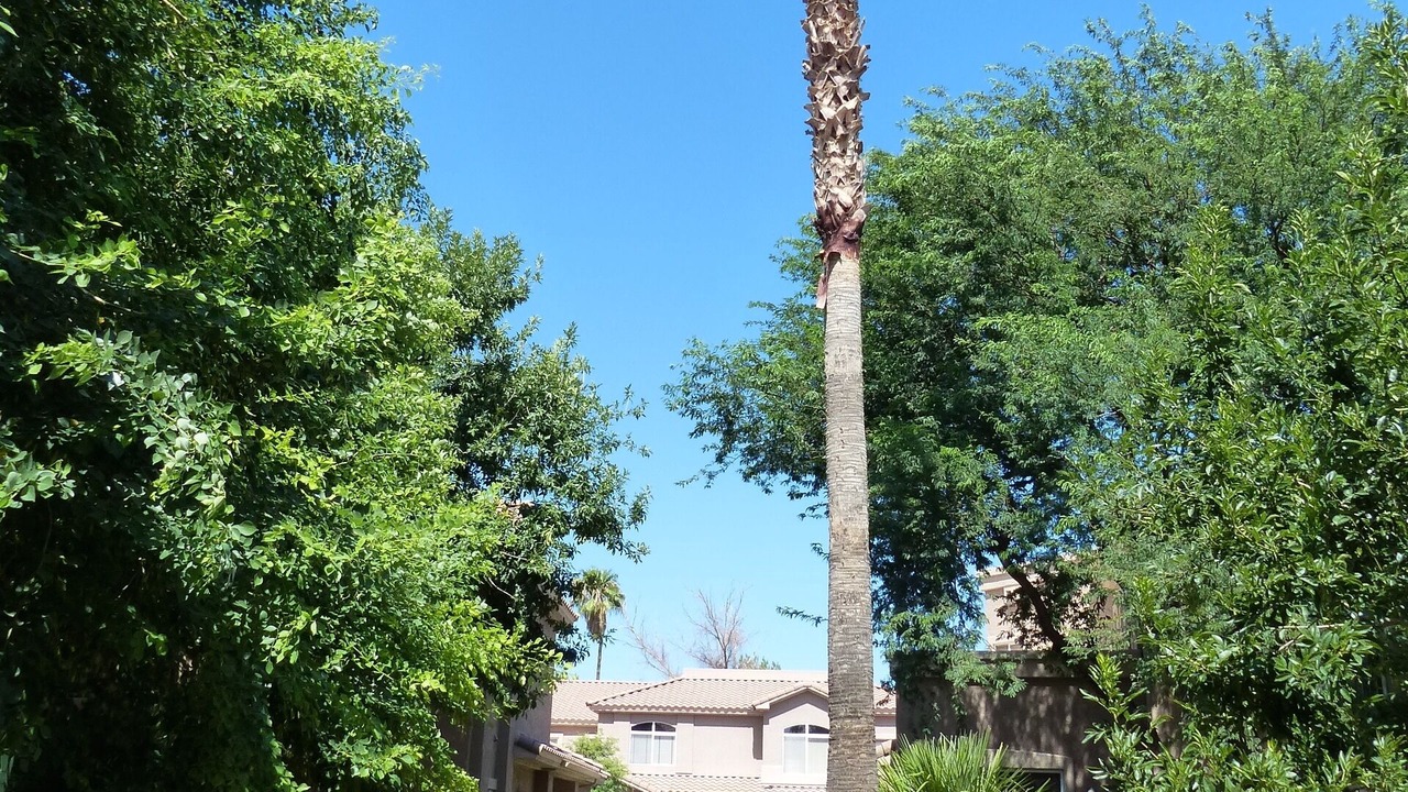 Photo of Others in Superstition Lakes