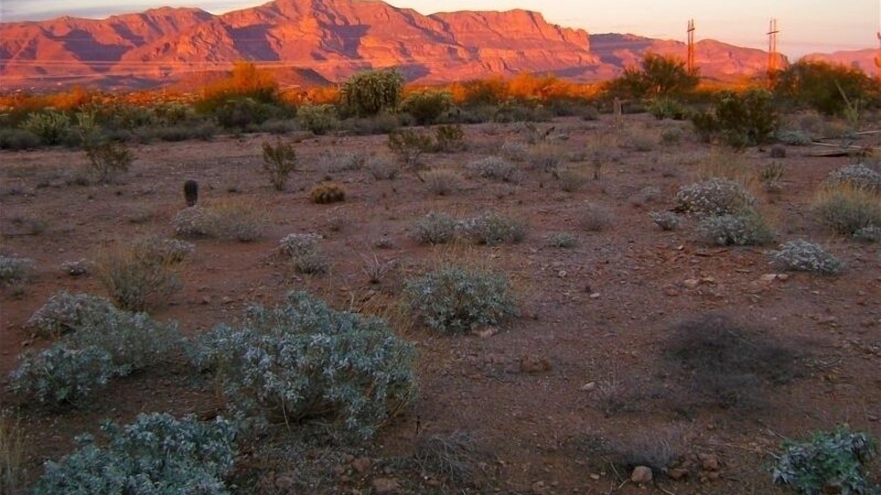 Photo of Others in Gold Canyon