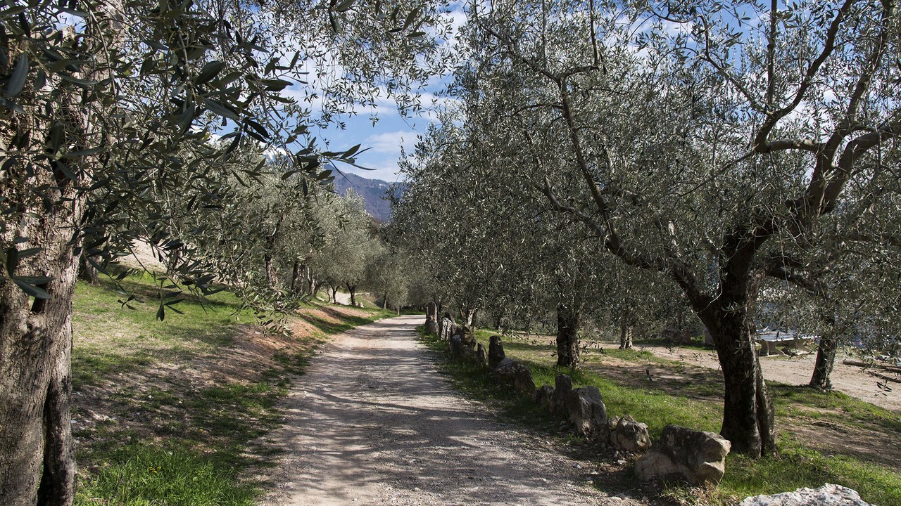Photo of Outdoor in Arco