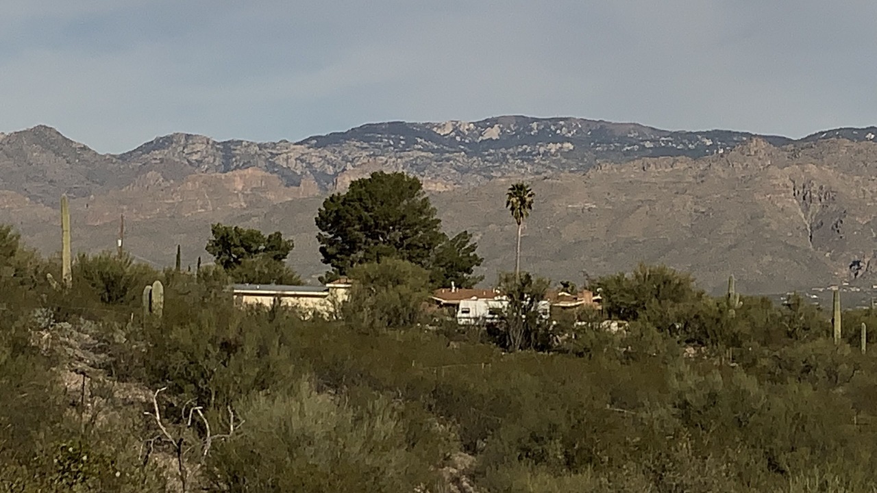 Photo of Others in Tanque Verde